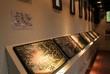 expozice