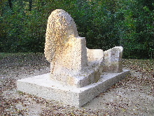 vlasimmata