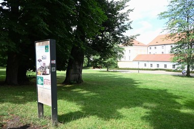 2. Jeek Kuba