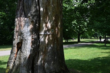 3. Dda Vevda