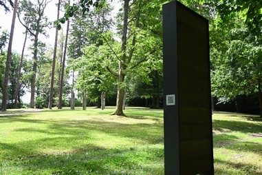6. Ptci