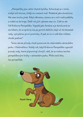 knka o ivot v parku