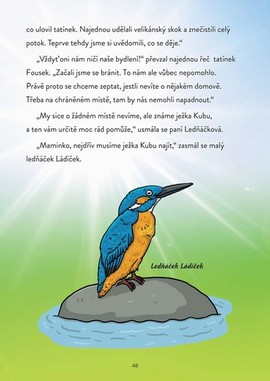 knka o ivot v parku