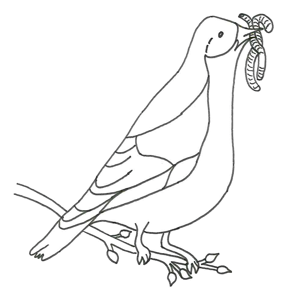 Hra - ptci