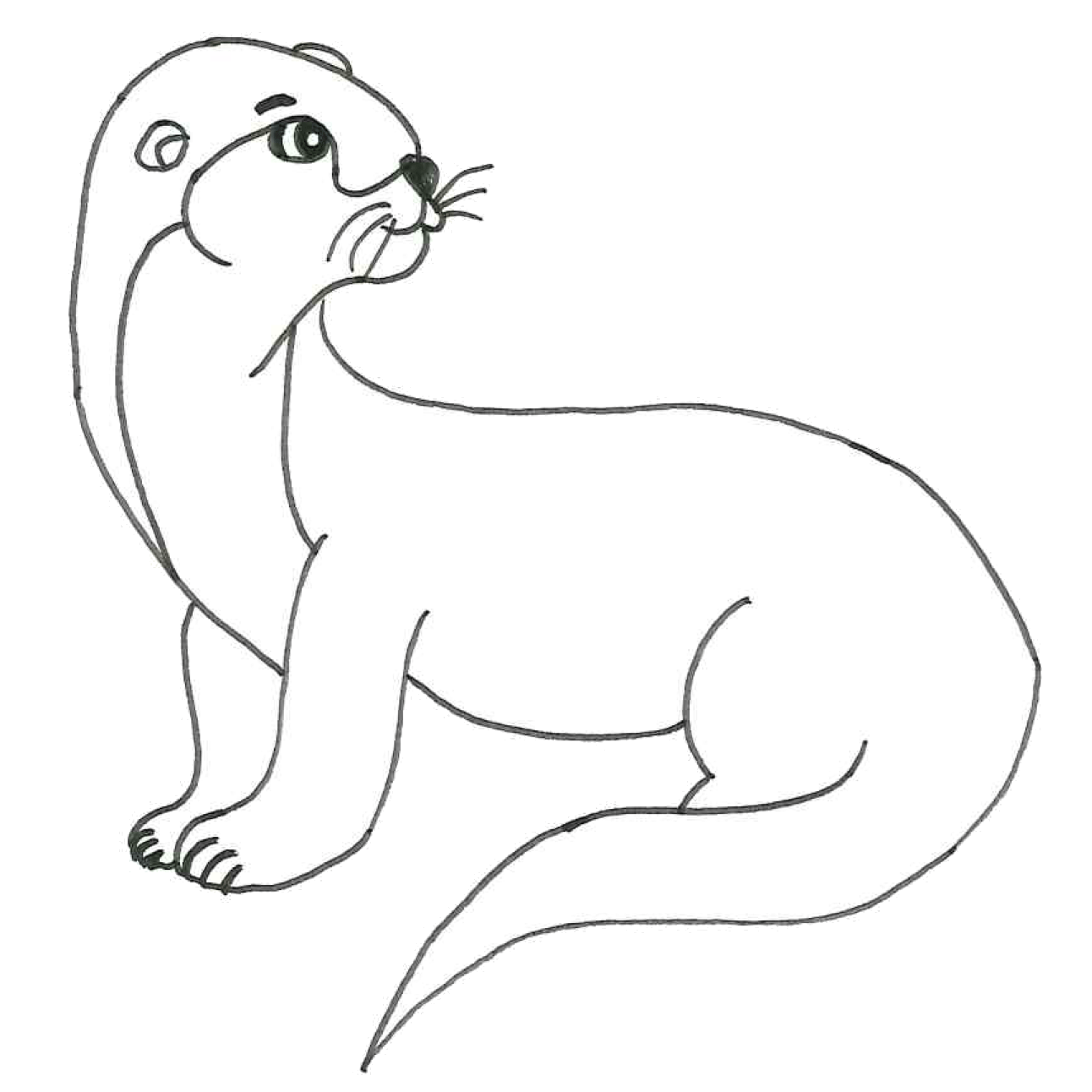 Hra - vydra