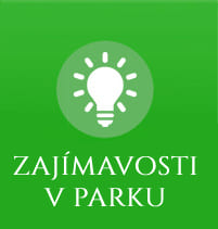 zajimavosti v parku